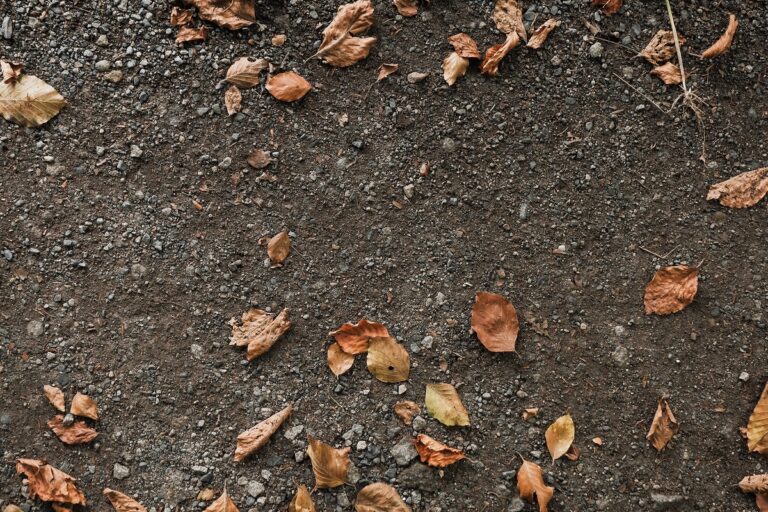 badanie geologiczne gruntu