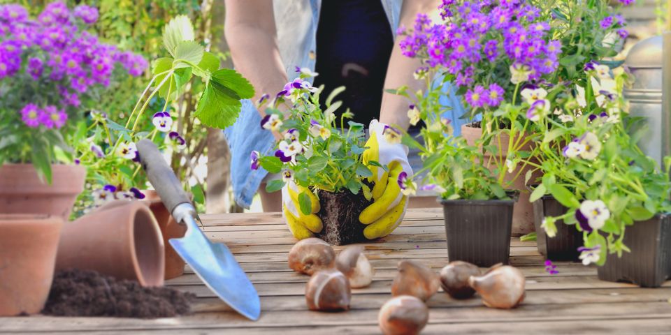 3 prace ogrodowe, o których nie możesz zapomnieć wiosną