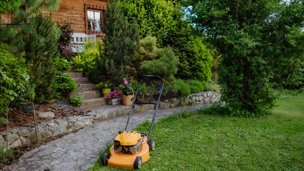 ogród kosiarka sprzęt ogrodowy