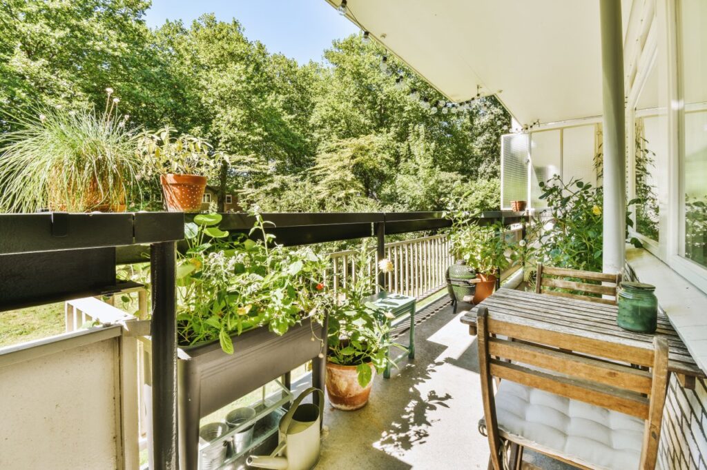 Rośliny na mały balkon. Jak dobrać gatunki do nasłonecznienia i warunków uprawy?