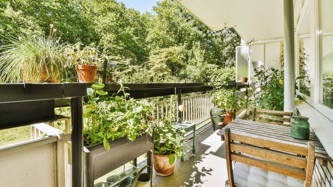 Rośliny na mały balkon. Jak dobrać gatunki do nasłonecznienia i warunków uprawy?
