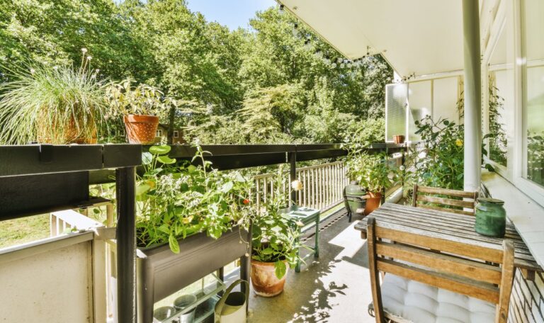 Rośliny na mały balkon. Jak dobrać gatunki do nasłonecznienia i warunków uprawy?