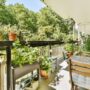 Rośliny na mały balkon. Jak dobrać gatunki do nasłonecznienia i warunków uprawy?
